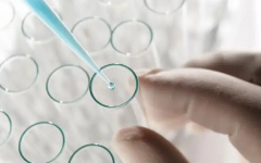 武汉试管包成功有保障吗？2026年最新收费和成功率详细对比