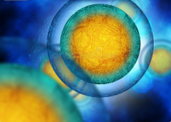 2026年格鲁吉亚做三代试管能包成功吗？真实流程与必须注意的事项