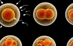 四川省试管婴儿助孕收费情况如何？2026年三代试管费用全解析！