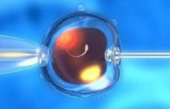 2026河南郑州市三代试管助孕机构费用大概多少？8到15万左右