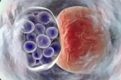 2026年南昌市第三代试管婴儿费用一览，服务项目与花费拆解