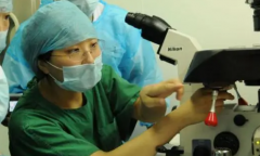 马来西亚第三代试管费用详细揭秘：附实用省钱攻略，轻松省下万元