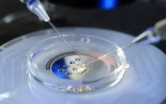 2026梅州市权威助孕公司盘点，服务项目及真实用户评价