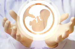 2026年马来西亚助孕生宝宝费用全览，从前期体检到抱娃成功多少钱