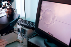 2026年广东深圳市三大助孕机构推荐，附详细费用清单