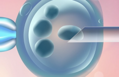 石家庄市做第三代试管助孕费用明细，大概在10 - 15万范围