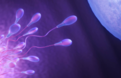 2026合肥三代试管助孕费用明细：价格在10-15万元之间