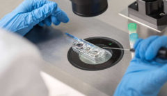 长沙市妇幼保健院单身人士试管婴儿成功几率大吗？