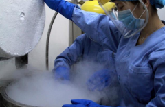 美国试管婴儿费用全包方案：详细看看都涵盖哪些服务内容