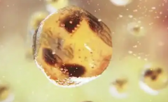 2026海口试管助孕费用：从检查到移植，详细了解各环节花费