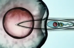 2026江西南昌各大助孕机构三代试管助孕花费比较