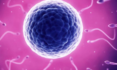 兰州试管助孕包成功生孩子的私立医院可信吗？