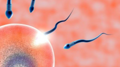 2026年天津市三代试管承诺包成功靠谱吗？详细流程及注意事项一览