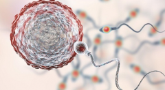 2026年徐州矿总院单身做试管可以吗？费用价目表发布