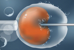 广东深圳三代试管助孕费用全解析：详细收费与明细展示