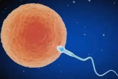 长春第三代试管婴儿费用多少？详细费用清单公布