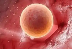 2026年武汉人工助孕收费标准如何？附具体费用明细