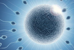 2026年哈尔滨三代试管费用大约8到15万上下，附详细清单+省钱方法