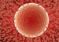 2026年江苏省三代试管十万预算能搞定吗？各项费用明细全公开