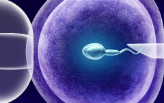 昆明三代试管婴儿费用多少钱？费用明细表清晰呈现