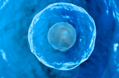 2026山东省淄博市三代试管婴儿助孕生子大概要多少钱