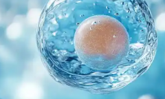 2026年吉林长春三代试管婴儿费用一览表，省钱方法汇总