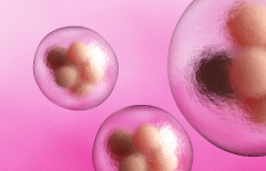 上海市三代试管婴儿费用多少？价格构成全面介绍，医院挑选技巧分享