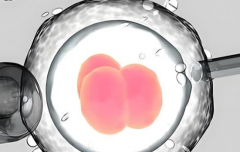 广州市三代试管婴儿多少钱？具体费用明细及差异对比