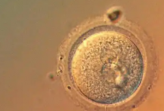 兰州市试管助孕花费全解析：2026年最新价格参考，高龄夫妇准备30万合