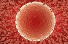 长沙市试管婴儿助孕费用明细是多少？详细费用参考与治疗成本参考