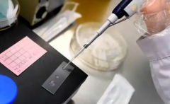 福建福州三代试管婴儿助孕费用是多少？附2026年试管移植全部费用明细