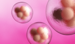 2026年抚州市第三代试管费用总览：8万到10万元左右，详细费用清单