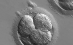 南京三代试管私立医院排行榜公布，成功率与费用一览无遗