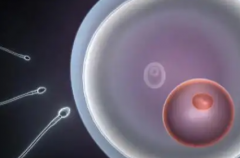 广东广州市第三代试管婴儿费用明细出炉，2026年最新价格表公布