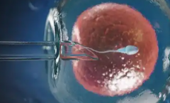 合肥市三代试管婴儿助孕费用清单，助孕成本明明白白