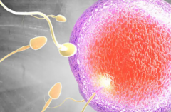 合肥市三代试管婴儿助孕费用清单，助孕成本解析