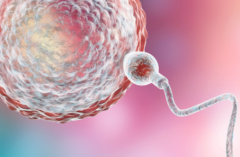 浙江省做三代试管助孕成功要多少钱，附2026年杭州热门医院排名及费用