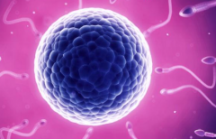 浙江省做三代试管助孕成功要多少钱，附2026年杭州热门医院排名和费用