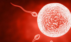 2026年杭州市第三代试管婴儿费用公布，准备好这个预算就行