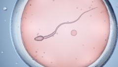 广东省清远三代试管婴儿费用明细，真实价格比想象中实惠很多