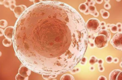 2026年安徽省三代试管婴儿助孕整体花费预估，费用详细清单出炉