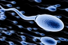 2026年泰国三代试管助孕费用价格表，附真实收费清单供参考