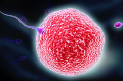 河南第三代试管婴儿助孕费用全解析，附具体价格及医院推荐