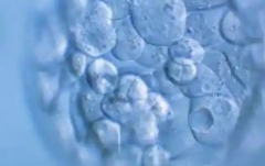 2026年在陕西省三代试管助孕全部费用明细多少钱？各项收费具体清单清