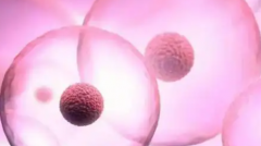 2026年石家庄三代试管婴儿费用明细，最新收费标准出炉