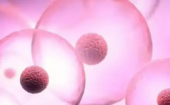 2026昆明各大助孕机构试管婴儿费用和服务清单