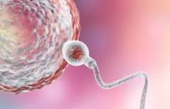 2026济南市三代试管婴儿助孕费用大概是多少，详细费用清单公布