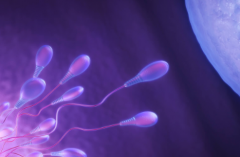 2026甘肃兰州第三代试管助孕花费：总价格在10万-18万之间，费用清单公