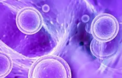 2026年在佛山市顺德区妇幼保健院无结婚证做试管婴儿费用高吗？12万能