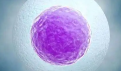 2026武汉三代试管助孕生孩子价格一览，单次8万元起，收费透明公开